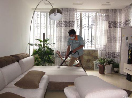 甲醛清除剂强力型