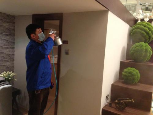 茶叶除甲醛怎么用